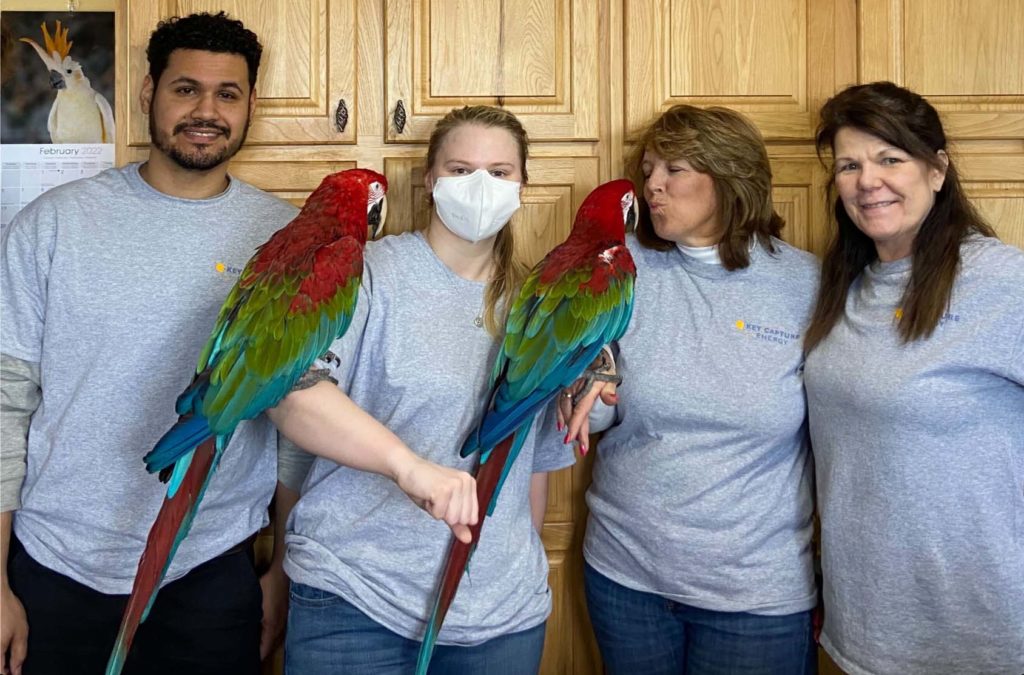 Group of employees holding parrots.