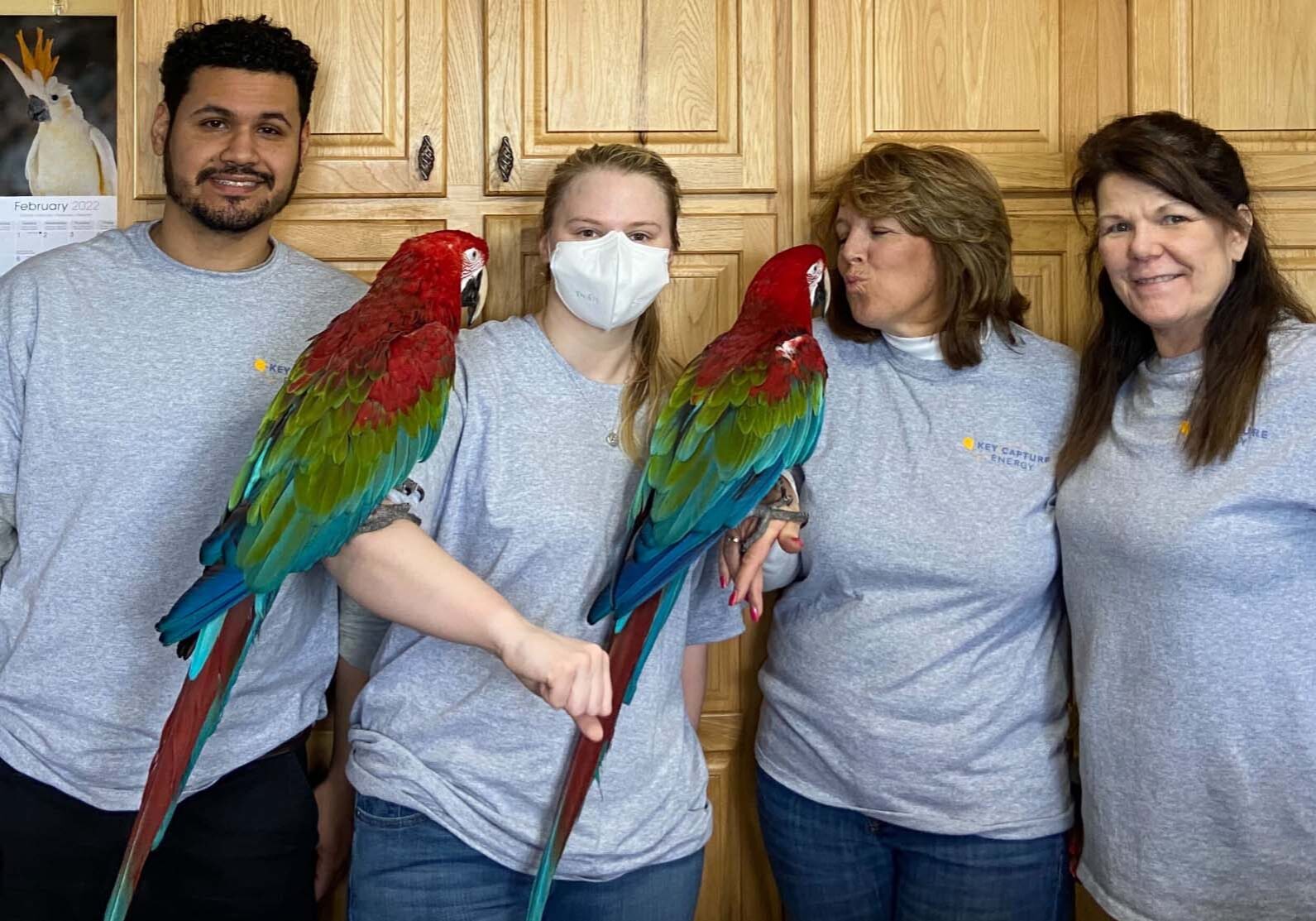 Group of employees holding parrots.